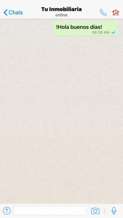 WhatsApp con un chatbot de Botly